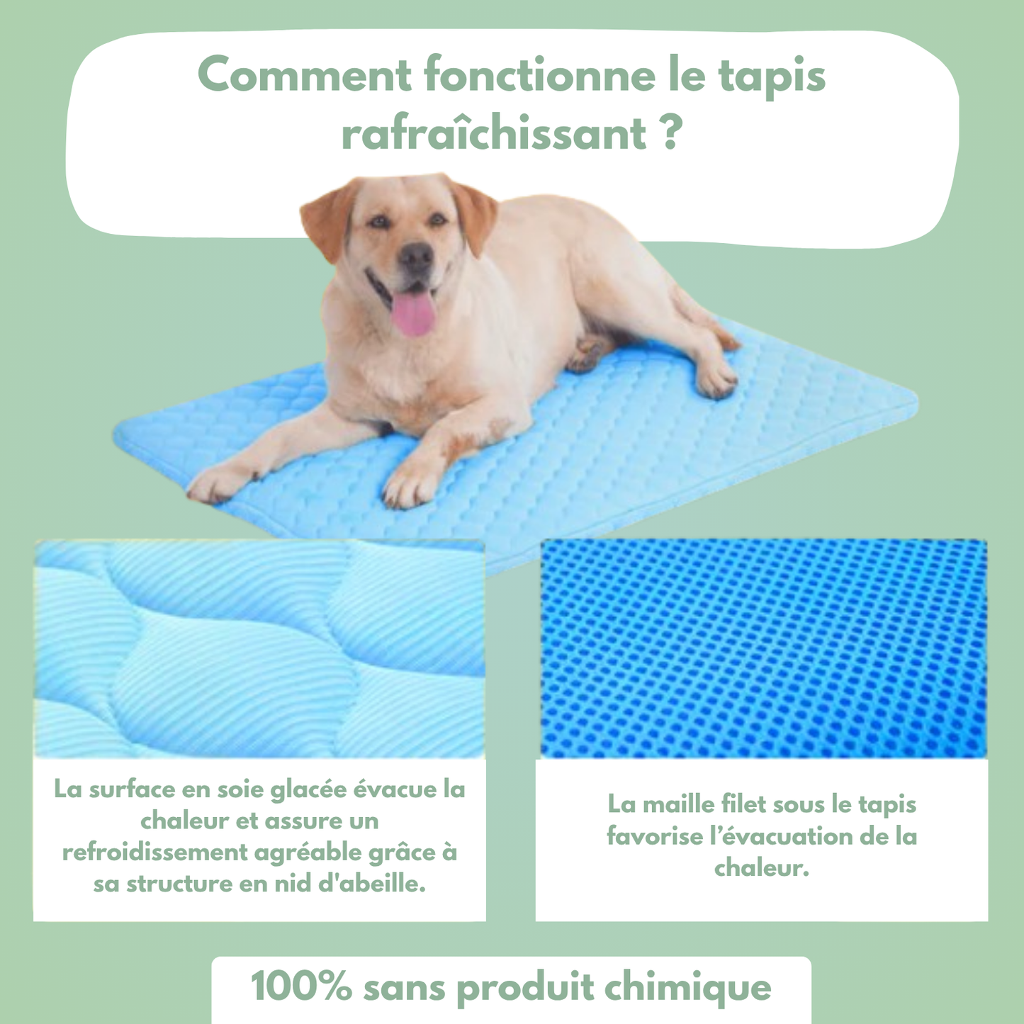 Tapis rafraîchissant pour chien