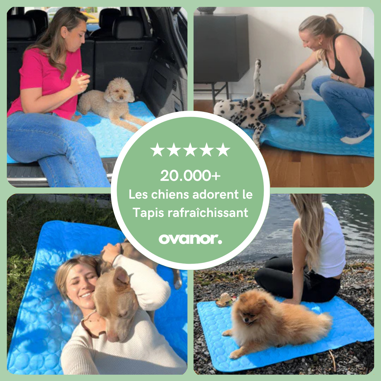 Tapis rafraîchissant pour chien