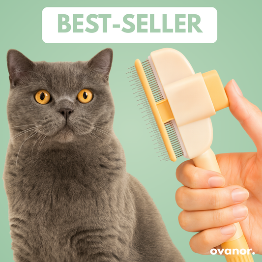 Brosse de toilettage pour chat