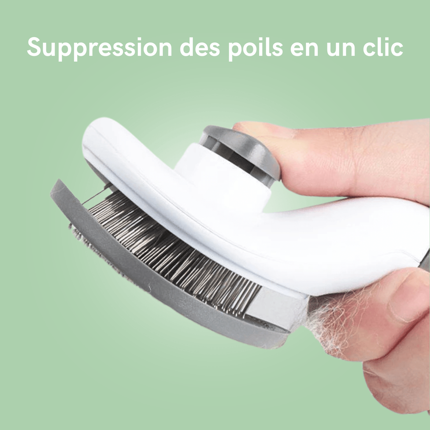 Brosse de toilettage pour chat et chien