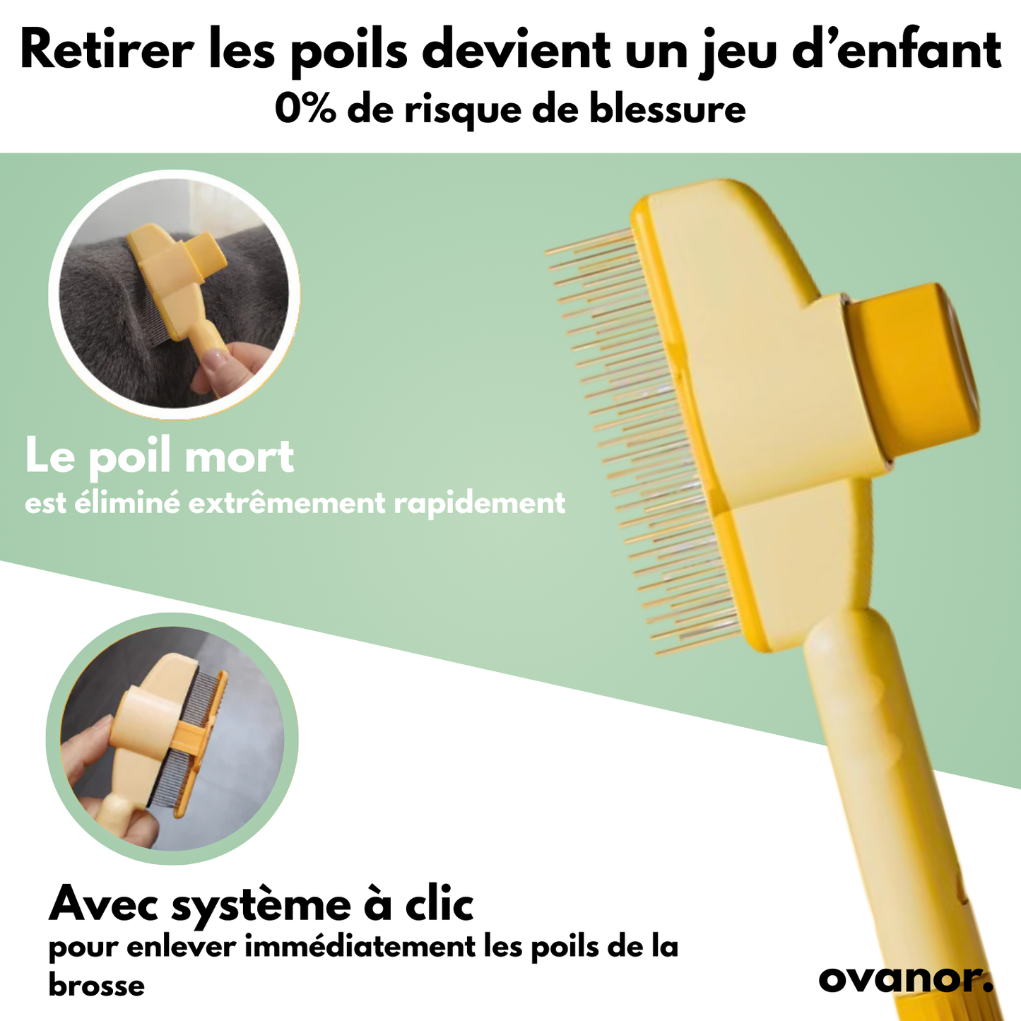 Brosse de toilettage pour chat