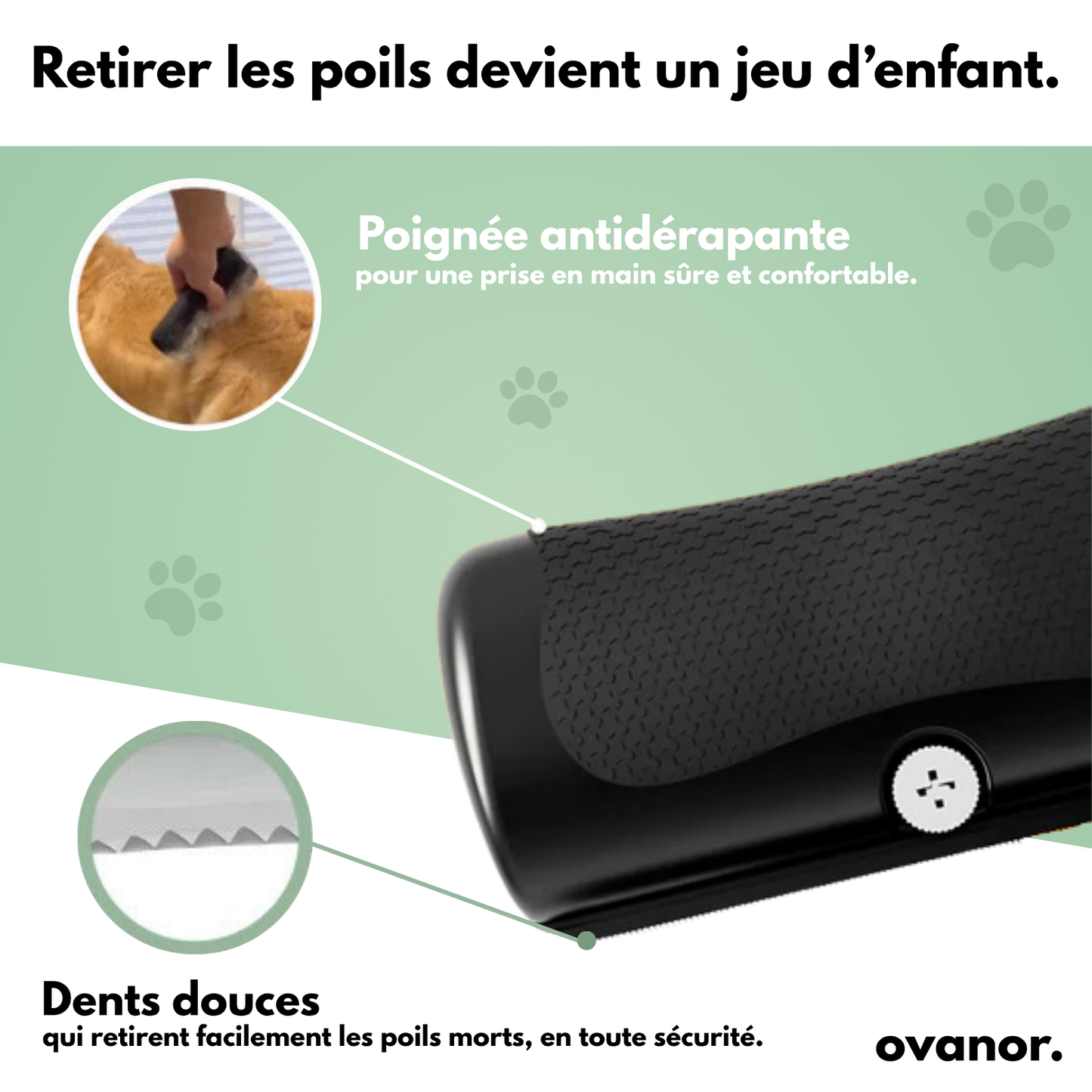 Brosse de toilettage pour chien