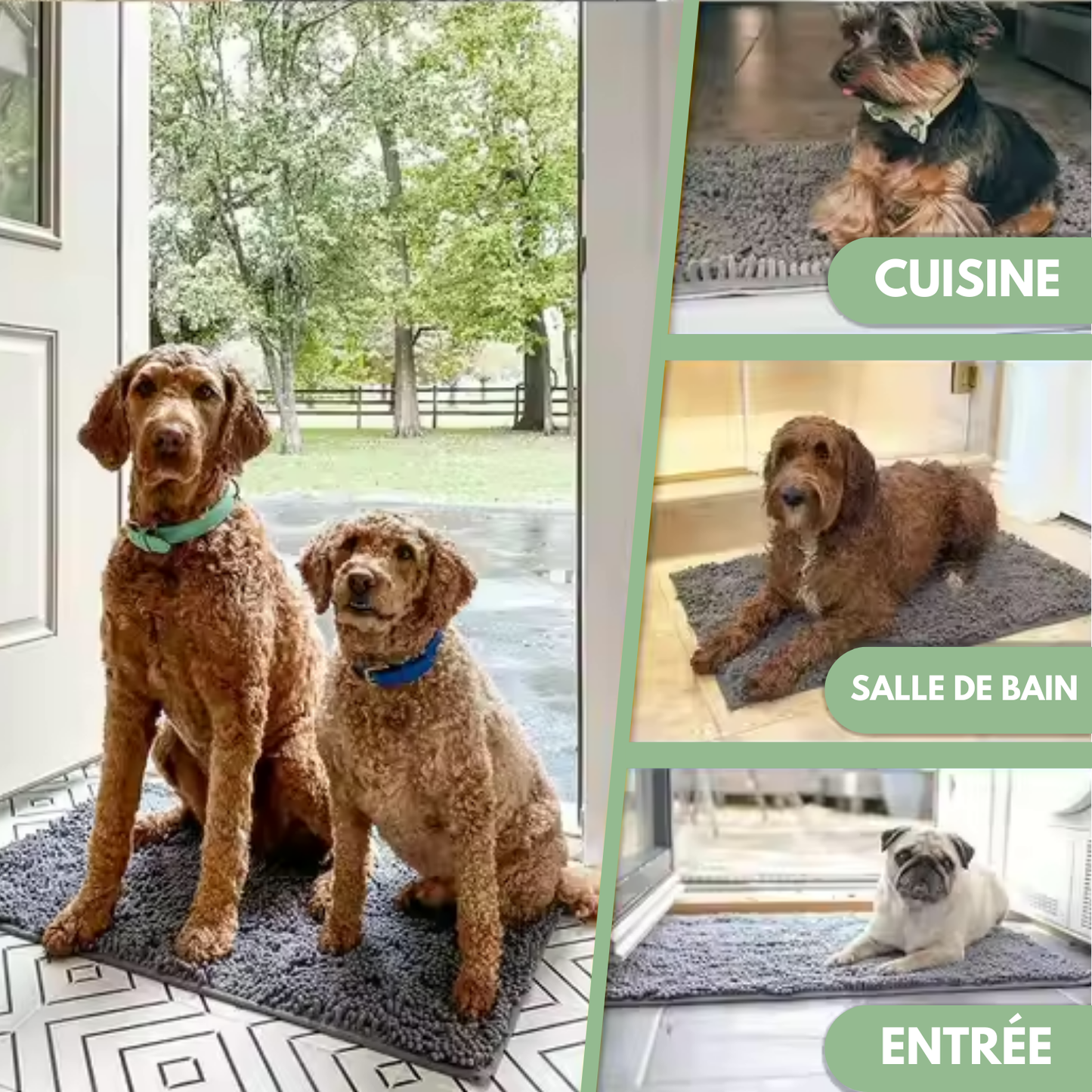 Tapis ultra-absorbant - pattes d'animaux