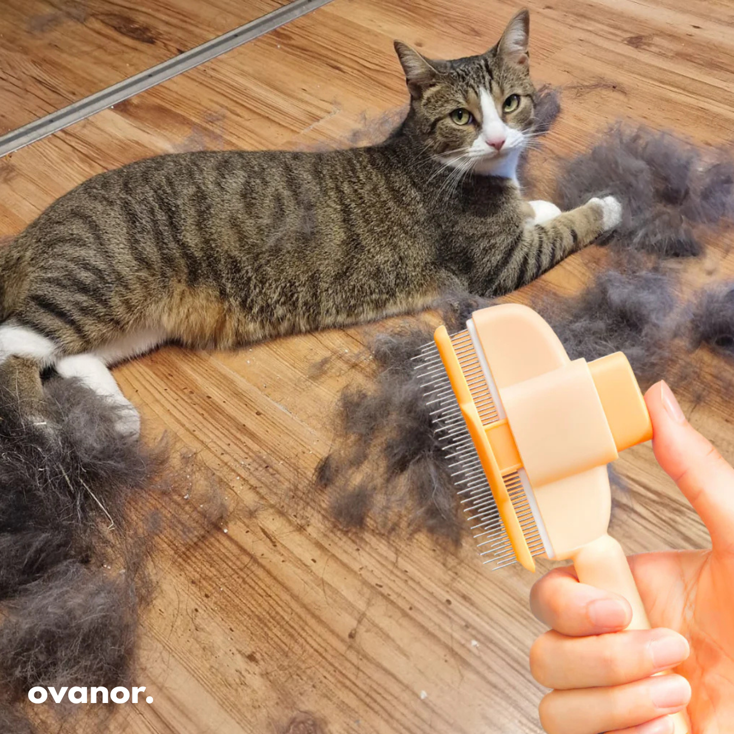 Brosse de toilettage pour chat