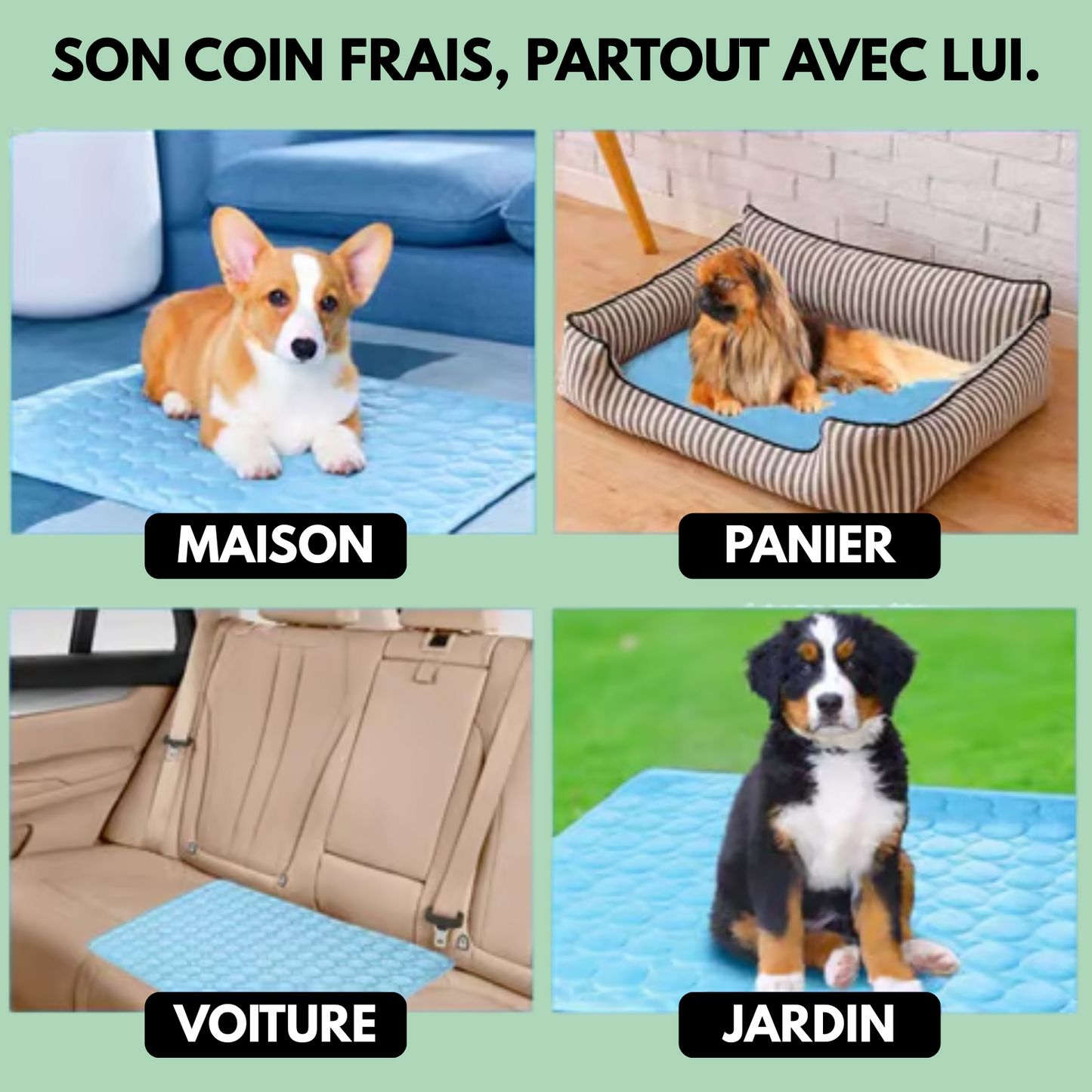 Tapis rafraîchissant pour chien