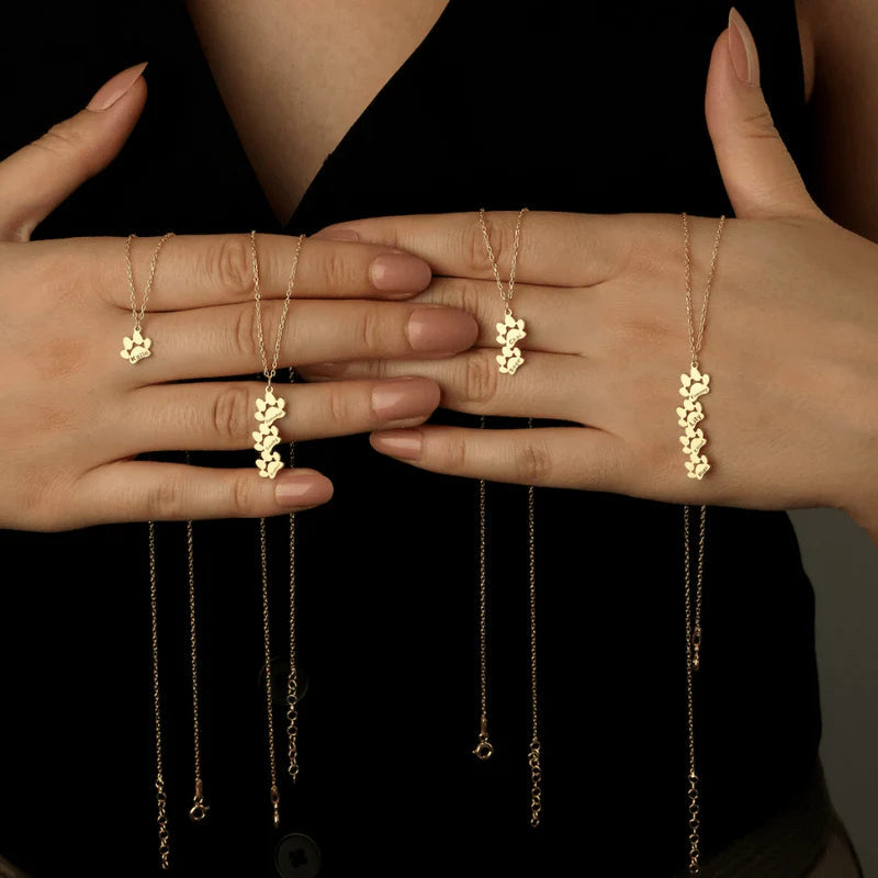 Collier pattes personnalisable