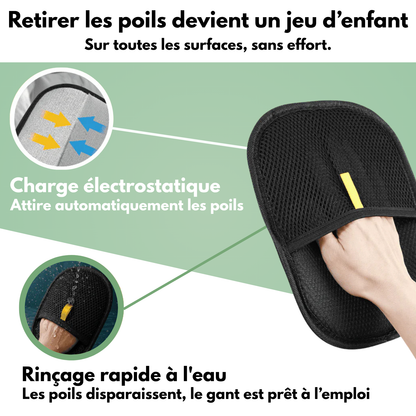 Gant attrape-poils