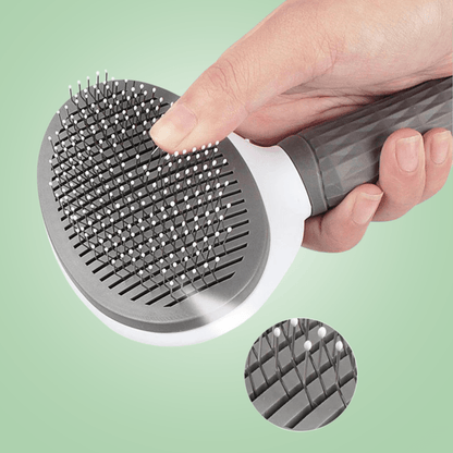 Brosse de toilettage pour chat et chien