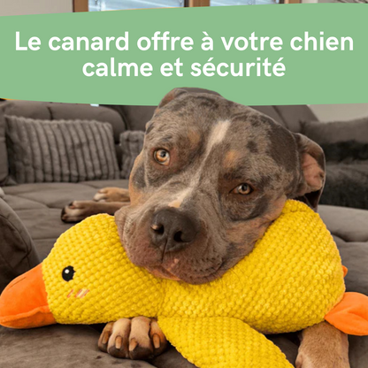 Canard Anti-Stress - Le Best-seller