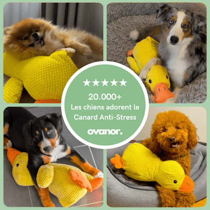 Canard Anti-Stress - Le Best-seller