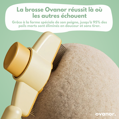 Brosse de toilettage pour chat
