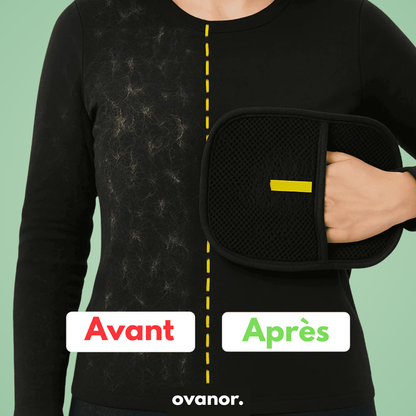 Gant attrape-poils