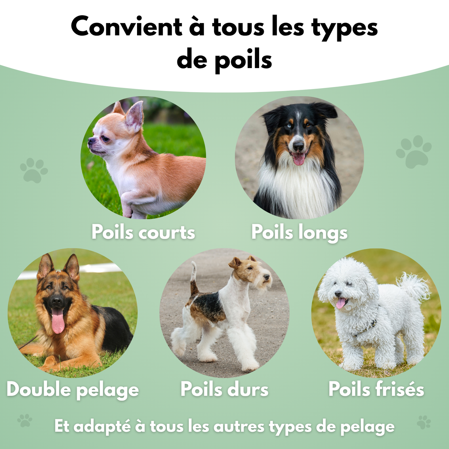 Brosse de toilettage pour chien