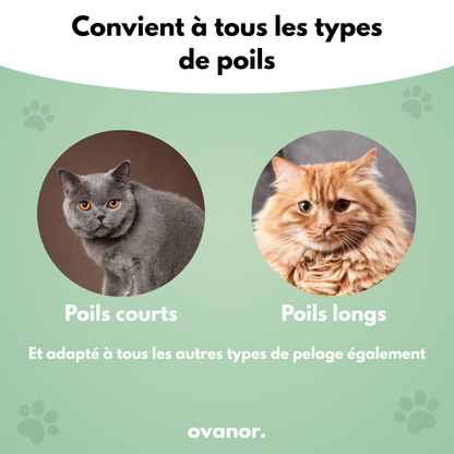 Brosse de toilettage pour chat