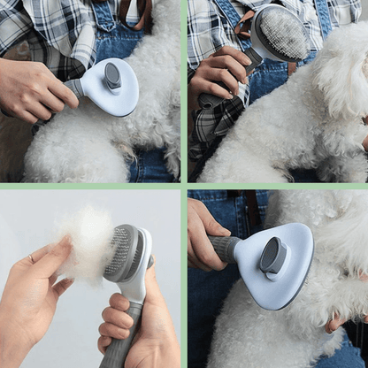 Brosse de toilettage pour chat et chien