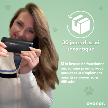 Brosse de toilettage pour chien