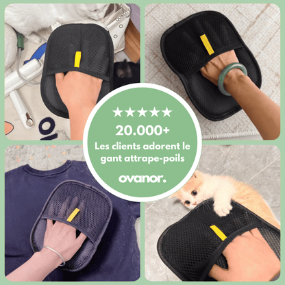 Gant attrape-poils