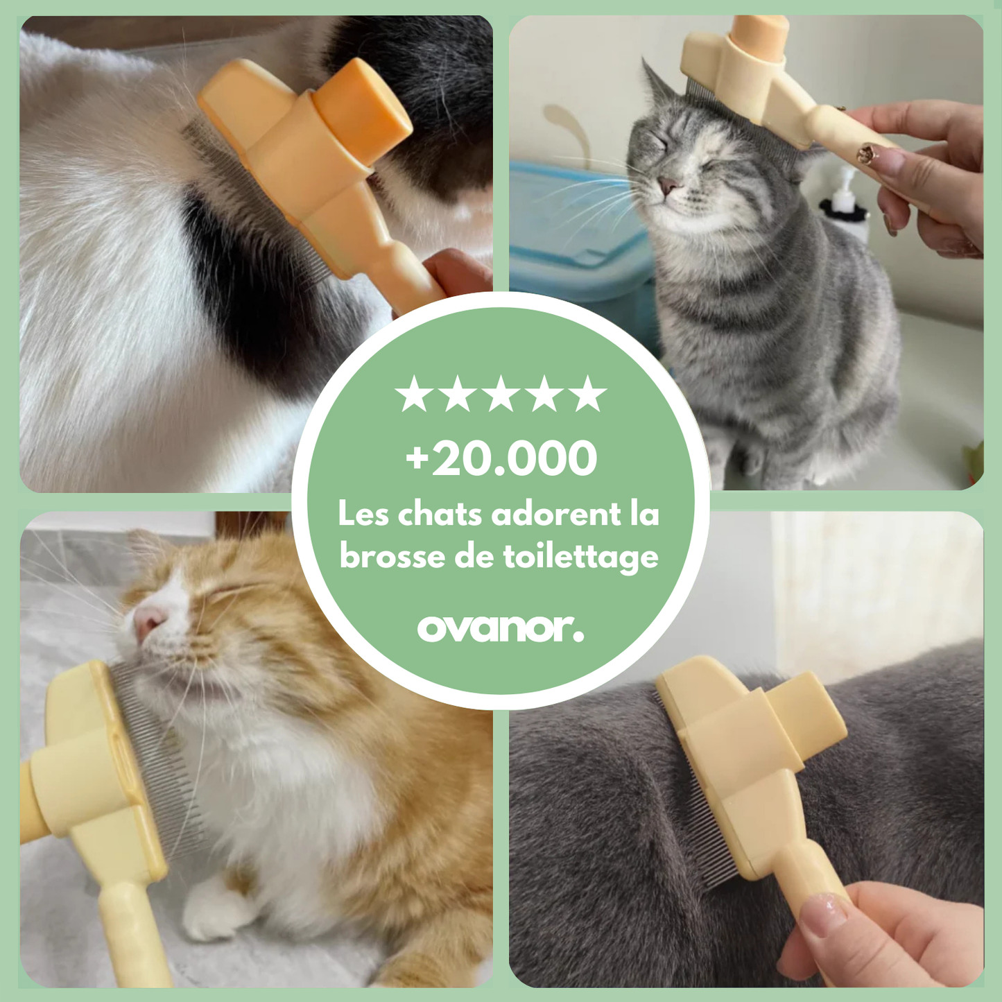 Brosse de toilettage pour chat