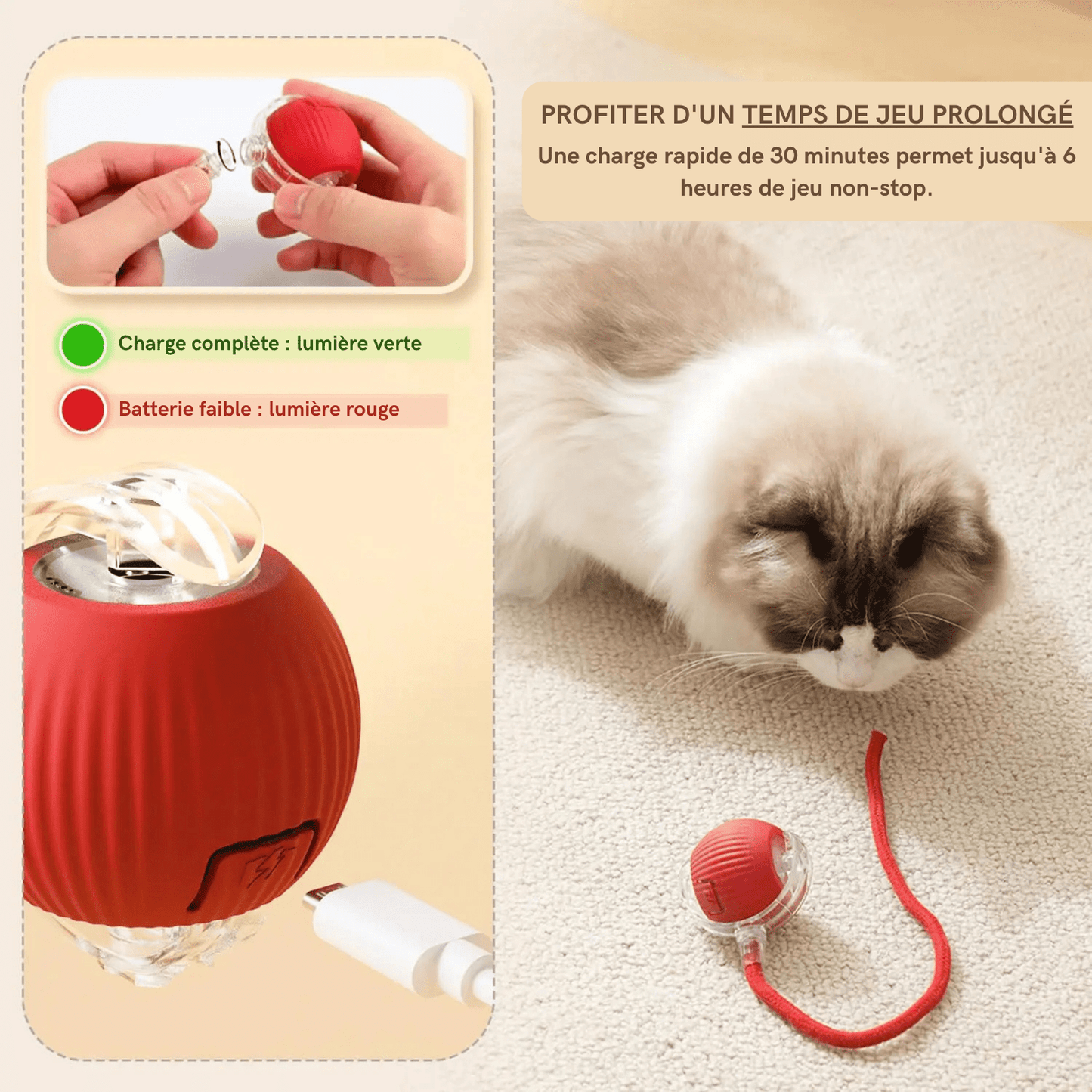 Balle interactive pour chat et chien