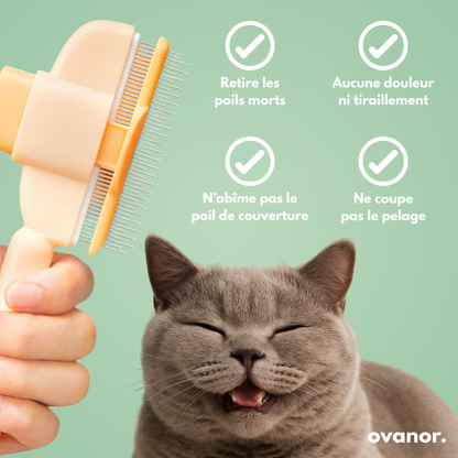 Brosse de toilettage pour chat