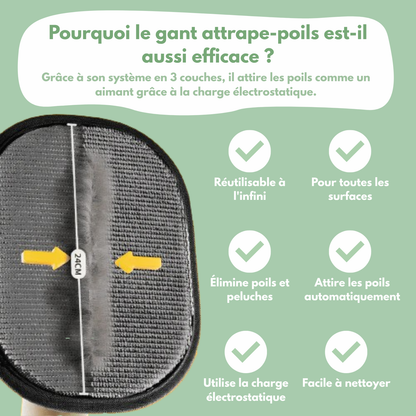 Gant attrape-poils