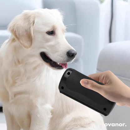 Brosse de toilettage pour chien