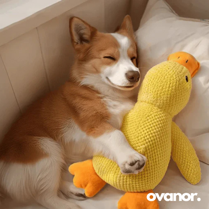 Canard Anti-Stress - Le Best-seller