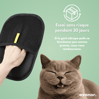 Gant attrape-poils
