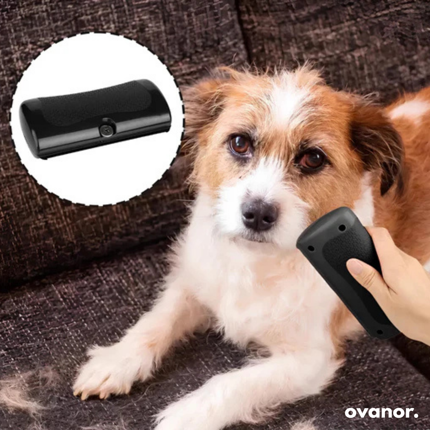 Brosse de toilettage pour chien