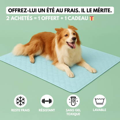 Tapis rafraîchissant pour chien