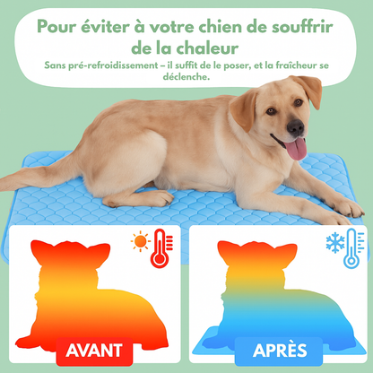 Tapis rafraîchissant pour chien
